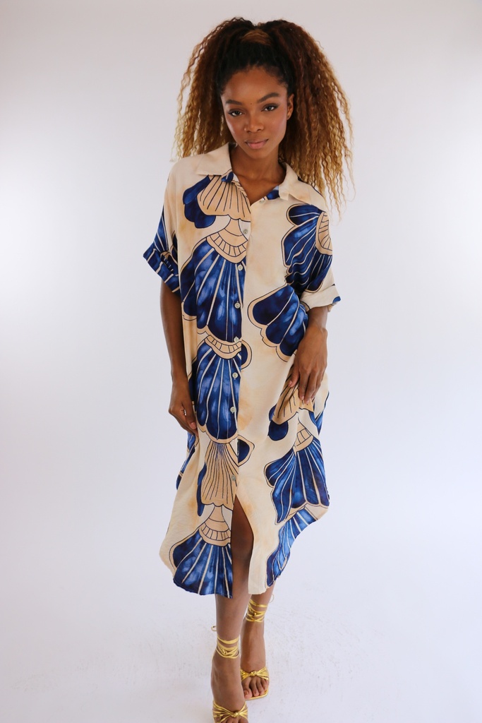 Carlota Print Dress Azul
